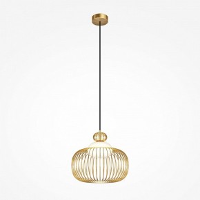 Подвесной светильник Maytoni Levitation MOD376PL-01G в Губкинском - gubkinskiy.ok-mebel.com | фото 2