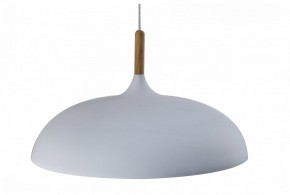 Подвесной светильник Moderli Hygo V11447-1P в Губкинском - gubkinskiy.ok-mebel.com | фото