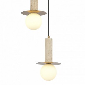 Подвесной светильник ST-Luce Earthy SL1194.303.03 в Губкинском - gubkinskiy.ok-mebel.com | фото 4