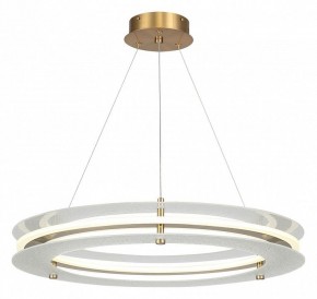 Подвесной светильник ST-Luce FAGY SL6245.203.01 в Губкинском - gubkinskiy.ok-mebel.com | фото 2