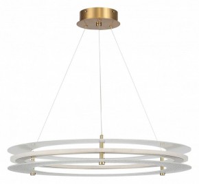 Подвесной светильник ST-Luce FAGY SL6245.203.01 в Губкинском - gubkinskiy.ok-mebel.com | фото 3