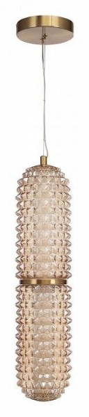 Подвесной светильник ST-Luce SAGUARO SL6144.303.01 в Губкинском - gubkinskiy.ok-mebel.com | фото 3