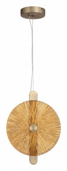 Подвесной светильник ST-Luce WASI SL6141.313.01 в Губкинском - gubkinskiy.ok-mebel.com | фото 3