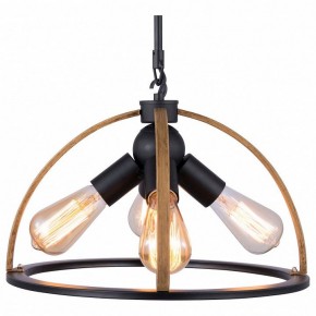Подвесной светильник TopLight Jasmin TL1179H-04BK в Губкинском - gubkinskiy.ok-mebel.com | фото