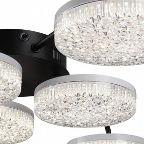 Потолочная люстра Lumion Didana 8236/6CL в Губкинском - gubkinskiy.ok-mebel.com | фото 9