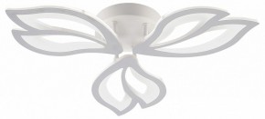 Потолочная люстра Natali Kovaltseva FORTUNA LED LAMPS 81107/2C в Губкинском - gubkinskiy.ok-mebel.com | фото