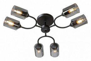Потолочная люстра Vitaluce V2823 V2823-1/6PL в Губкинском - gubkinskiy.ok-mebel.com | фото 2