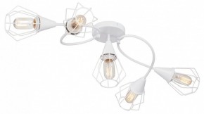 Потолочная люстра Vitaluce V3037 V3037-0/5PL в Губкинском - gubkinskiy.ok-mebel.com | фото