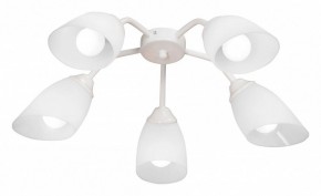 Потолочная люстра Vitaluce V31950 V31950/5PL в Губкинском - gubkinskiy.ok-mebel.com | фото