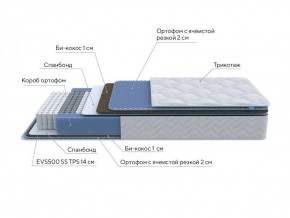 PROxSON Матрас Active Comfort M (Ткань Трикотаж Эко) 160x195 в Губкинском - gubkinskiy.ok-mebel.com | фото 7