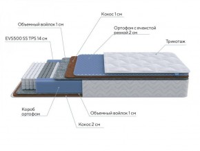 PROxSON Матрас Active Duo M/F (Ткань Трикотаж Эко) 180x190 в Губкинском - gubkinskiy.ok-mebel.com | фото 7