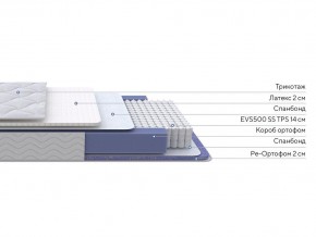 PROxSON Матрас Active Duo S/F (Ткань Трикотаж Эко) 140x200 в Губкинском - gubkinskiy.ok-mebel.com | фото 2