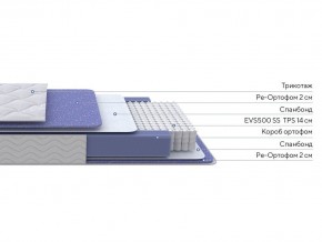 PROxSON Матрас Active F (Ткань Трикотаж Эко) 90x190 в Губкинском - gubkinskiy.ok-mebel.com | фото 2