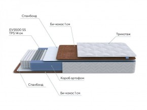 PROxSON Матрас Active F (Ткань Трикотаж Эко) 160x190 в Губкинском - gubkinskiy.ok-mebel.com | фото 7