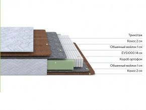 PROxSON Матрас Green F (Tricotage Dream) 80x220 в Губкинском - gubkinskiy.ok-mebel.com | фото 2