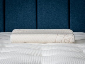 PROxSON Подушка Кроха (Ткань Трикотаж) 39x24 в Губкинском - gubkinskiy.ok-mebel.com | фото 6