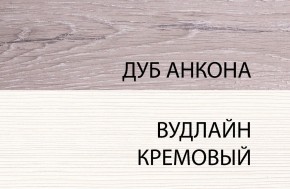 Шкаф 1DG, OLIVIA, цвет вудлайн крем/дуб анкона в Губкинском - gubkinskiy.ok-mebel.com | фото 3