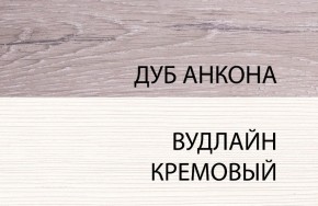 Шкаф 1DZ, OLIVIA, цвет вудлайн крем/дуб анкона в Губкинском - gubkinskiy.ok-mebel.com | фото 3