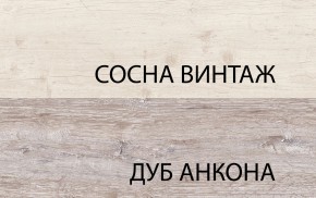 Шкаф 2D1S, MONAKO, цвет Сосна винтаж/дуб анкона в Губкинском - gubkinskiy.ok-mebel.com | фото