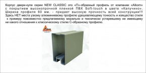 Шкаф-купе 1500 серии NEW CLASSIC K2+K2+B2+PL2(2 ящика+1 штанга+1 полка) профиль «Капучино» в Губкинском - gubkinskiy.ok-mebel.com | фото 17