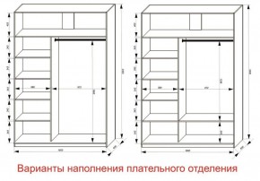 Шкаф-купе 1600 серии SOFT D1+D3+B2+PL1 (2 ящика+1штанга) профиль «Графит» в Губкинском - gubkinskiy.ok-mebel.com | фото 6