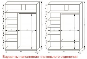 Шкаф-купе 1600 серии SOFT D6+D4+B2+PL2 (2 ящика+1штанга+1 полка) профиль «Капучино» в Губкинском - gubkinskiy.ok-mebel.com | фото 8