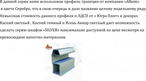 Шкаф-купе 1700 серии SILVER S5+S5+B2+PL3 (2 ящика+2 штанги) профиль «Серебро» в Губкинском - gubkinskiy.ok-mebel.com | фото 4