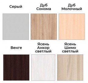 Шкаф-купе ХИТ 22-18-888 (620) в Губкинском - gubkinskiy.ok-mebel.com | фото 3