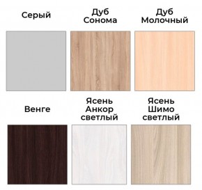 Шкаф-купе ХИТ 22-4-14-11 (420) в Губкинском - gubkinskiy.ok-mebel.com | фото 5