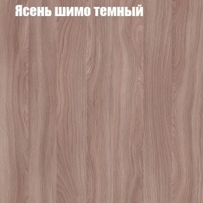 Шкаф-купе «ТАНДЕМ» 2-х дверный в алюминиевом профиле (Дверь К+К) 1200/h2200 в Губкинском - gubkinskiy.ok-mebel.com | фото 7