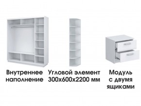 Шкаф-купе «ТАНДЕМ» 3-х дверный в белом профиле (Дверь ЛДСП+Z+Z) 2400/h2200 в Губкинском - gubkinskiy.ok-mebel.com | фото 3