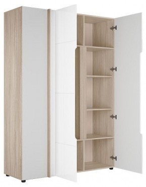 Шкаф платяной Данк в Губкинском - gubkinskiy.ok-mebel.com | фото 2