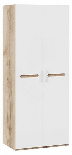 Шкаф платяной Фьюжн ТД-260.07.02 в Губкинском - gubkinskiy.ok-mebel.com | фото