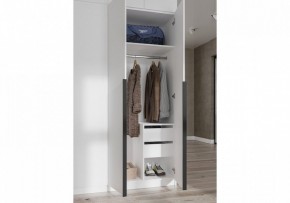Шкаф платяной Широн в Губкинском - gubkinskiy.ok-mebel.com | фото 3