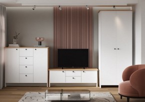 Шкаф платяной Теодора в Губкинском - gubkinskiy.ok-mebel.com | фото 4