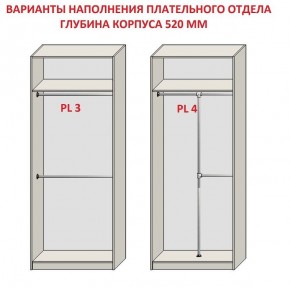 Шкаф распашной серия «ЗЕВС» (PL3/С1/PL2) в Губкинском - gubkinskiy.ok-mebel.com | фото 10