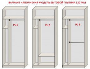 Шкаф распашной серия «ЗЕВС» (PL3/С1/PL2) в Губкинском - gubkinskiy.ok-mebel.com | фото 5