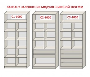 Шкаф распашной серия «ЗЕВС» (PL3/С1/PL2) в Губкинском - gubkinskiy.ok-mebel.com | фото 7