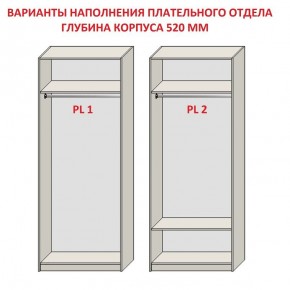 Шкаф распашной серия «ЗЕВС» (PL3/С1/PL2) в Губкинском - gubkinskiy.ok-mebel.com | фото 9