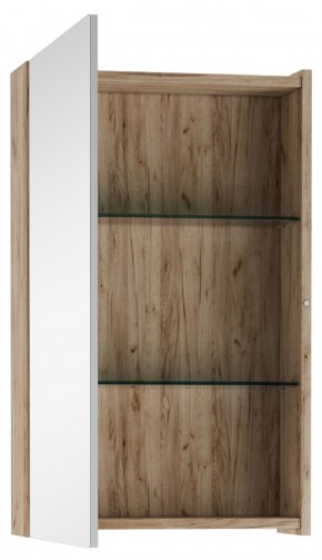 Шкаф-зеркало Craft 45 левый/правый Домино (DCr2211HZ) в Губкинском - gubkinskiy.ok-mebel.com | фото 2
