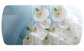 Стол Бостон-3 (Белая Орхидея) 1100/1420*700, опора Брифинг в Губкинском - gubkinskiy.ok-mebel.com | фото 2