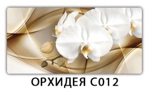 Стол раздвижной Трилогия с фотопечатью Орхидея C013 в Губкинском - gubkinskiy.ok-mebel.com | фото 12