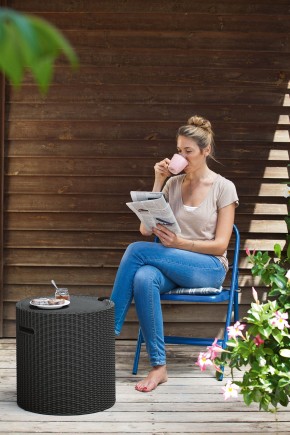 Столик-холодильник Кул-Стул (Cool stool) графит в Губкинском - gubkinskiy.ok-mebel.com | фото