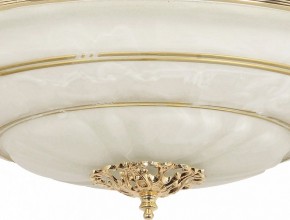 Светильник на штанге Arti Lampadari Pavia Pavia E 1.13.P40 G в Губкинском - gubkinskiy.ok-mebel.com | фото 3