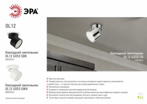 Светильник на штанге Эра OL12 GX53 SBK Б0049034 в Губкинском - gubkinskiy.ok-mebel.com | фото 5