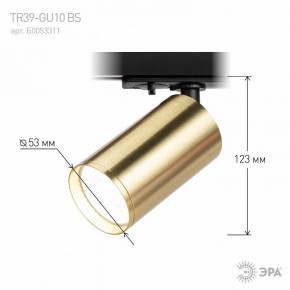 Светильник на штанге Эра  TR39-GU10 BS в Губкинском - gubkinskiy.ok-mebel.com | фото 6