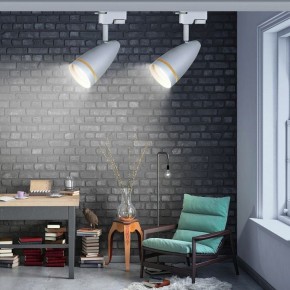 Светильник на штанге Эра  TR49 - GU10 WH в Губкинском - gubkinskiy.ok-mebel.com | фото 2