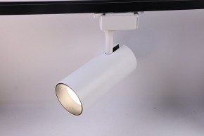 Светильник на штанге Эра  TR5-30 COB WH в Губкинском - gubkinskiy.ok-mebel.com | фото 2