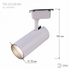 Светильник на штанге Эра  TR5-30 COB WH в Губкинском - gubkinskiy.ok-mebel.com | фото 6