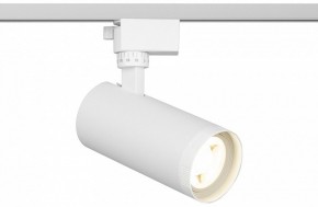 Светильник на штанге Эра  TR59 - 2040 WH в Губкинском - gubkinskiy.ok-mebel.com | фото